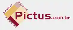 pictus.com.br